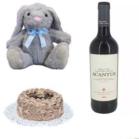 Tarta + peluche + vino