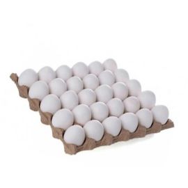 Cartòn de huevos
